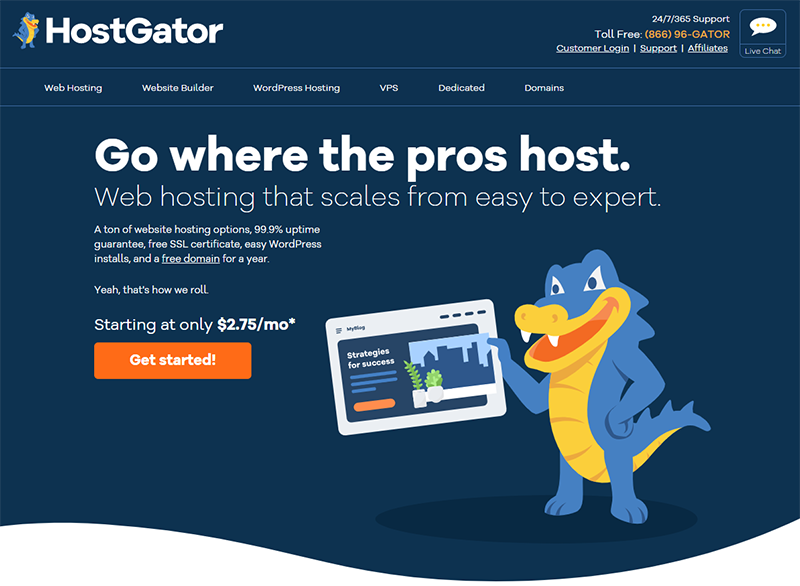 Website-Hosting